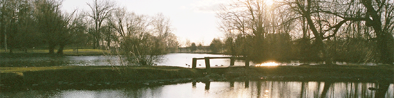 bridging all the experiences together one day at a time