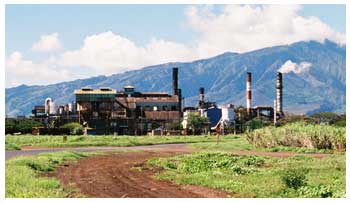 Puunene Sugar Mill