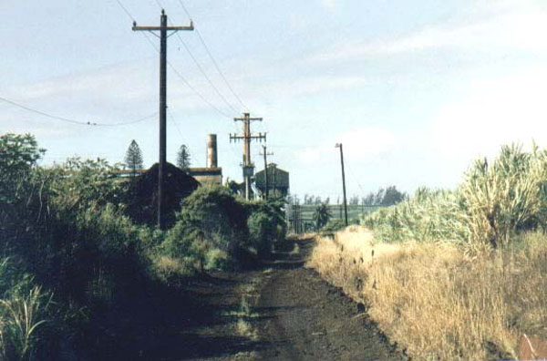 paiamillroad
