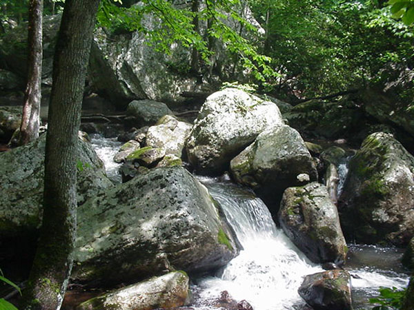 cascadeswater5