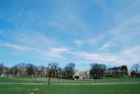 drillfield