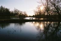 duckpondbridge