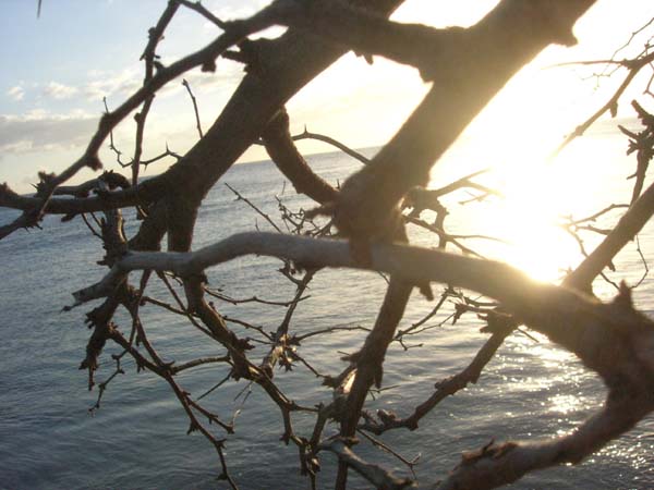 DSCN1774