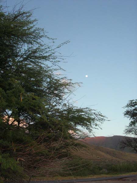 DSCN1913