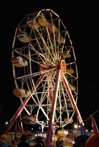DSC_0115