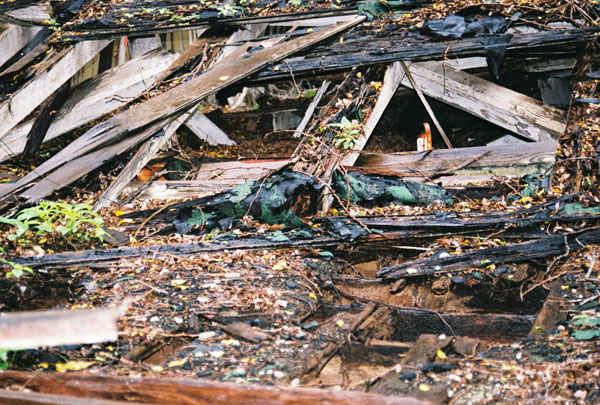 floorboards2