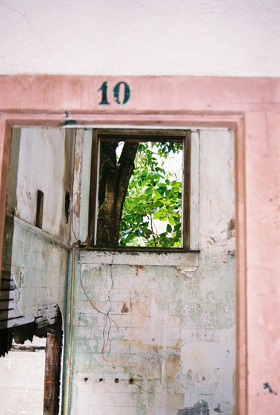 window