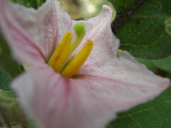 DSCN0578