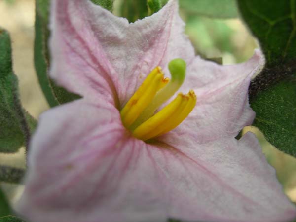 DSCN0580