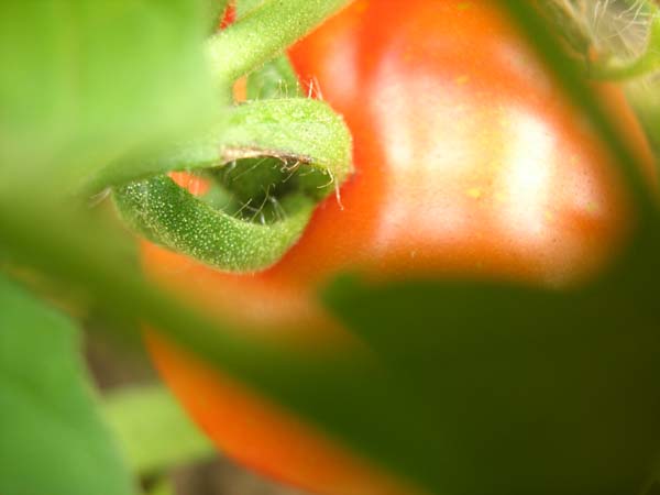 DSCN0585