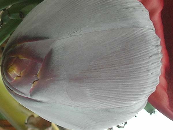 DSCN0614