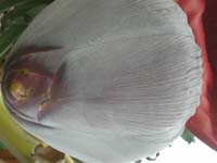 DSCN0614