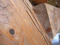 DSCN0639