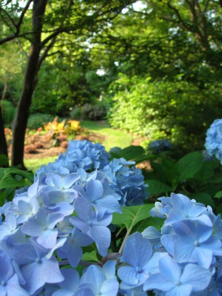 DSCN1031