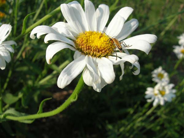 DSCN1051