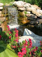 DSCN0965