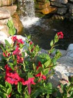 DSCN0967