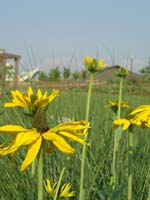 DSCN0976