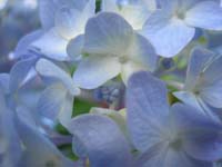 DSCN1035
