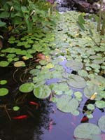 DSCN1043