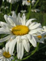 DSCN1053