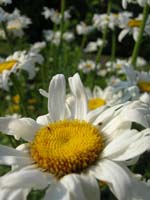 DSCN1067