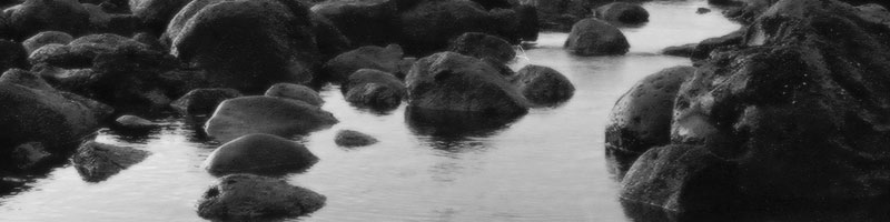 reflecting on the days gone by...